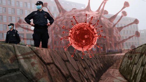 Woher kommt Sars-CoV-2?: Ein Virus, zwei Theorien und eine unvollendete Suche