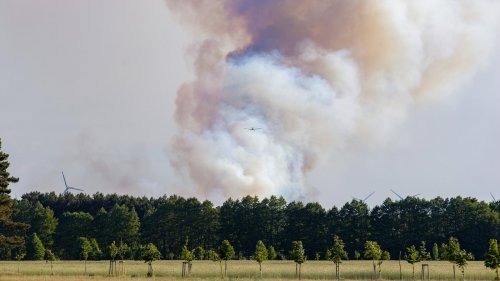 „Ein Funke kann ein Flammenmeer entfachen“: Özdemir warnt vor Rauchen und Lagerfeuern im Wald