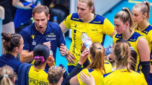 Transfers in Teamsportarten: Umbrüche unerlässlich? - Proficlubs und ihr Kaderpuzzle