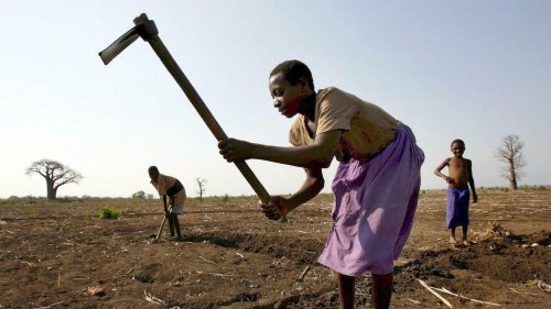Wenn statt Regen der Zyklon wütet: Malawi wird vom Klimawandel besonders getroffen