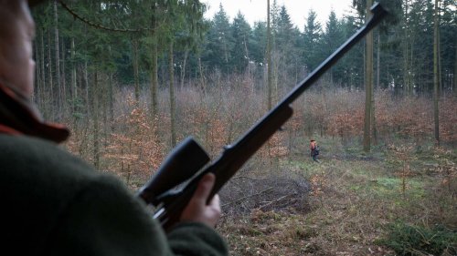 „Unsere Zukunft wird einfach aufgefressen“: Neues Brandenburger Jagdgesetz sorgt weiter für Ärger