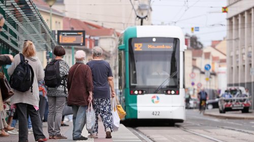 Potsdam fehlen Busfahrer: Personalkrise beim Verkehrsbetrieb dauert an
