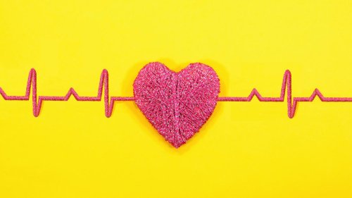 Wenn es eng wird in den Gefäßen: Das Immunsystem als Risikofaktor für Arteriosklerose