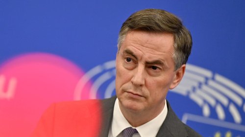 Baerbocks Nachfolge: Wird David McAllister neuer Außenminister?