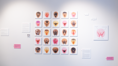 „The Vulva Gallery“ in Berlin: So viele Formen, so viele Farben!