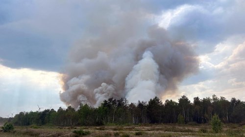 Flugzeug und Hubschrauber im Einsatz: Wind facht Waldbrand bei Jüterbog wieder an