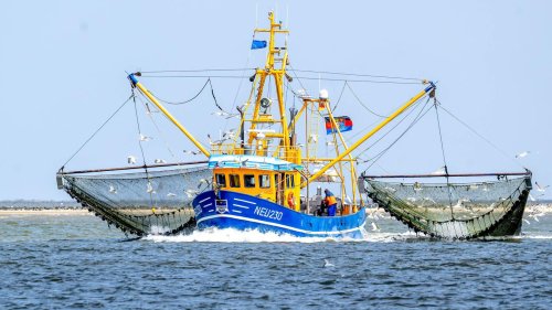 Fischerei: EU-Gericht nickt Fangverbote in der Nordsee ab