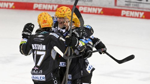 Eishockey: Kölner Haie zittern ums DEL-Halbfinale - Ingolstadt führt