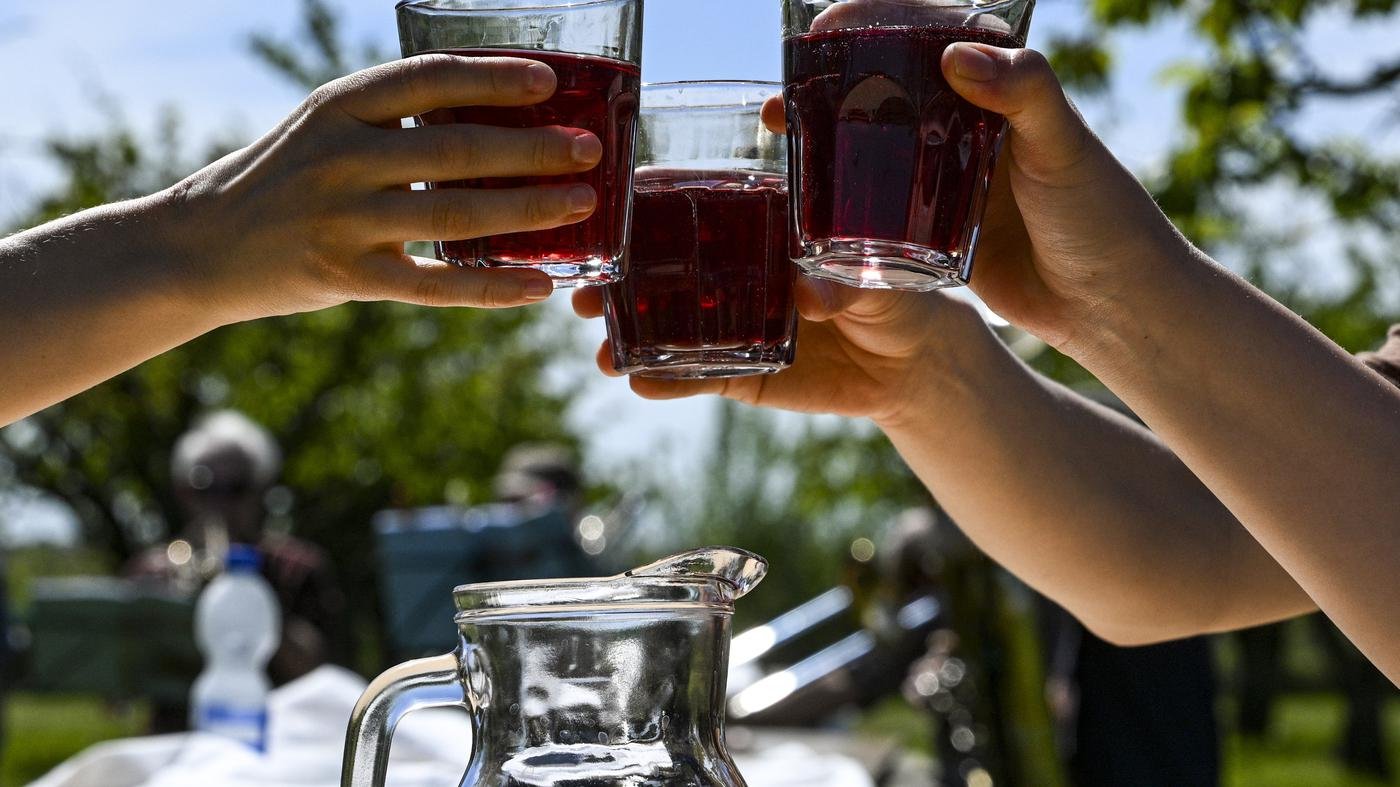 Zwischen Obstwein und Rummel: Havelstadt Werder bald bereit für das Baumblütenfest