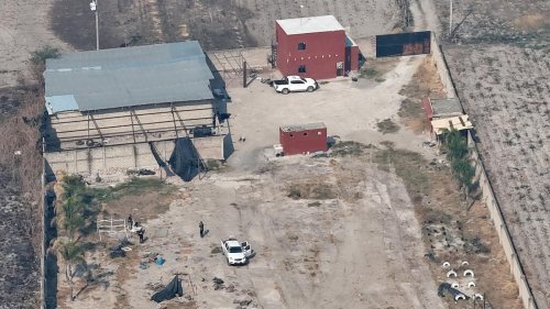 Knochenreste und Krematorien: Mütter in Mexiko entdecken ein verstecktes Folterlager der Mafia