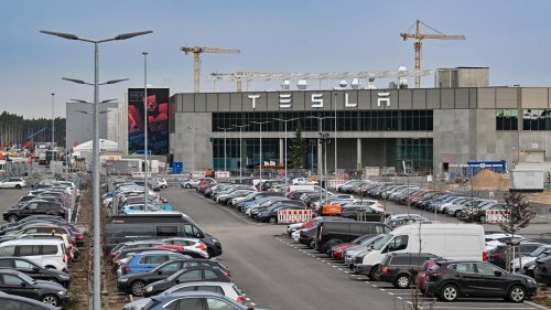 Schwarzbau bei Teslas Gigafactory : Brandenburger Behörde stoppt illegale Arbeiten