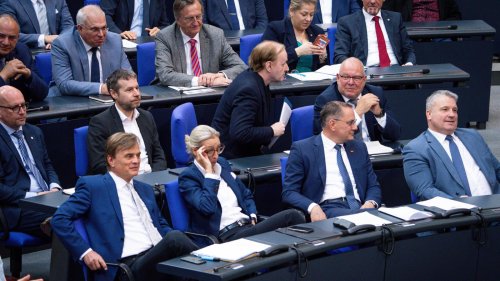 Posten für Ausschuss-Vorsitzende: AfD-Abgeordnete fallen bei geheimer Wahl im Bundestag durch