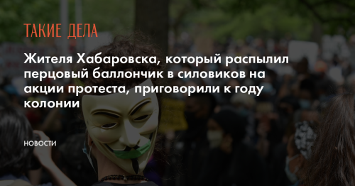 Жителя Хабаровска, который распылил перцовый баллончик в силовиков на акции протеста, приговорили к году колонии