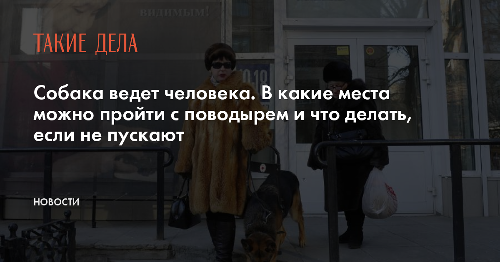 Собака ведет человека. В какие места можно пройти с поводырем и что делать, если не пускают