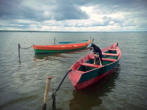 Работа не волк