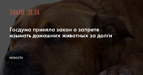 Госдума приняла закон о запрете изымать домашних животных за долги