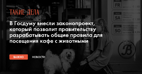 В Госдуму внесли законопроект, который позволит правительству разрабатывать общие правила для посещения кафе с животными
