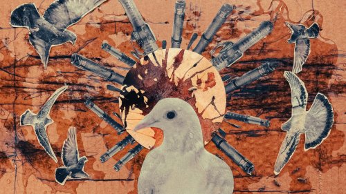 «Зачем шокером, я же не сопротивляюсь?»