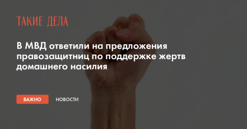 В МВД ответили на предложения правозащитниц по поддержке жертв домашнего насилия