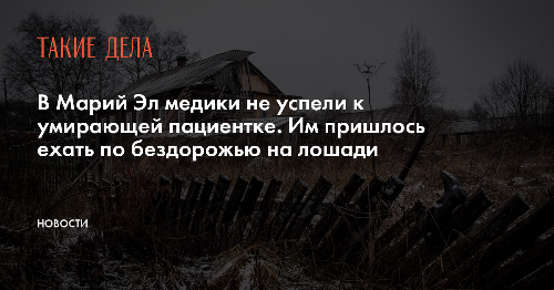 В Марий Эл медики не успели к умирающей пациентке. Им пришлось ехать по бездорожью на лошади