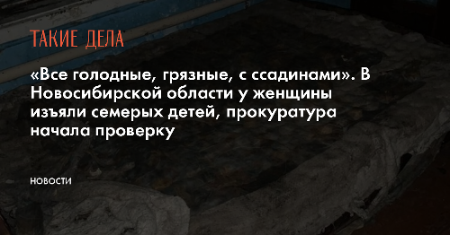 «Все голодные, грязные, с ссадинами». В Новосибирской области у женщины изъяли семерых детей, прокуратура начала проверку