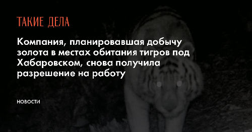 Компания, планировавшая добычу золота в местах обитания тигров под Хабаровском, снова получила разрешение на работу