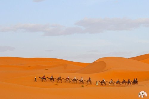 Marokko Rundreise: Vom Hohen Atlas über die Sahara zum Atlantik
