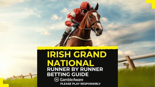 Irish Grand National runner by runner betting guide
