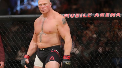 Brock Lesnar’s size and power shocked me in our UFC fight – but I still knocked him out