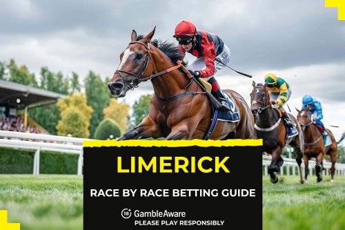 Andrew’s Limerick race by race betting guide