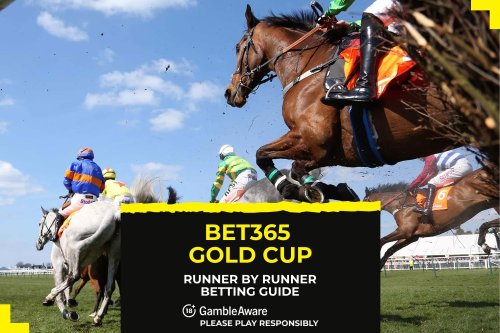 Andrew’s bet365 Gold Cup runner by runner betting guide