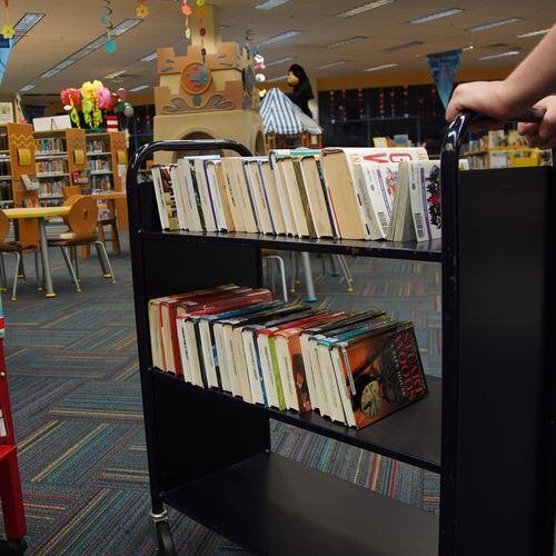9 unexpected things to check out from Hillsborough and Pinellas libraries