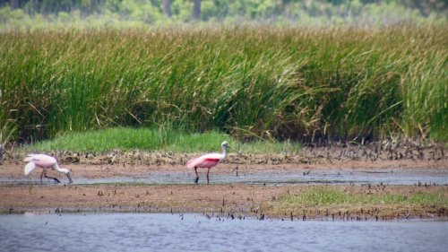 Bipartisan outrage from Florida lawmakers, residents grows over land swap