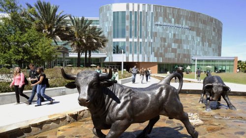 Disagreement swirls over Florida university president search rules