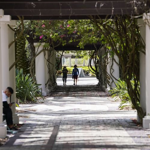Florida university leaders bash plan to downgrade sociology