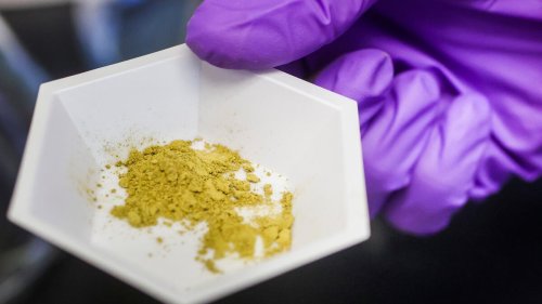 ‘Legal morphine’ is for sale in Florida. Will officials act?