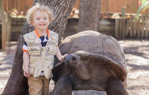 the-best-things-to-do-with-toddlers-and-preschoolers-in-tampa-bay