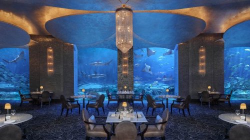 Comer rodeado de tiburones: ocho restaurantes submarinos en imágenes