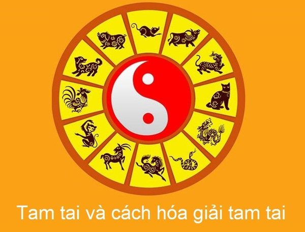 cách sử dụng túi tam tai - cover