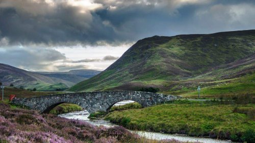 Spring in the Cairngorms: Breathtaking Hikes & Rare Wildlife You Can’t Miss in Scotland - Tartan and Teacups