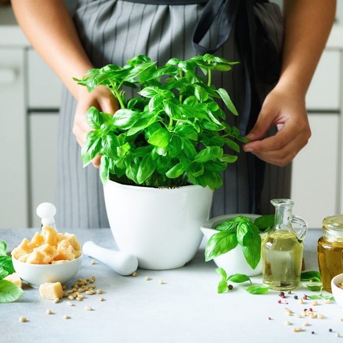 10 Herbs Practically Anyone Can Grow Indoors