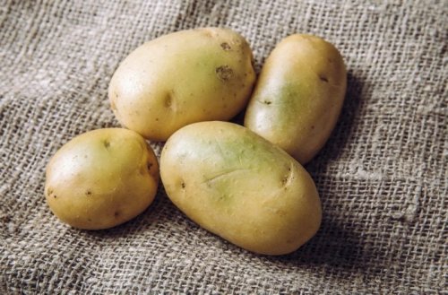 If You See a Potato with Green Skin, This Is What It Means