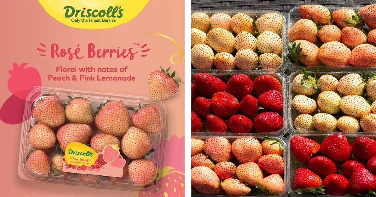 Driscoll's JUST Re-Released Its Rosé Berries—and We're About to Rosé All Day