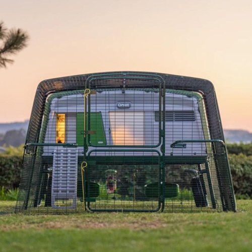 Thinking About Getting Chickens? This Smart Omlet Coop Will Help Keep Your Flock Safe