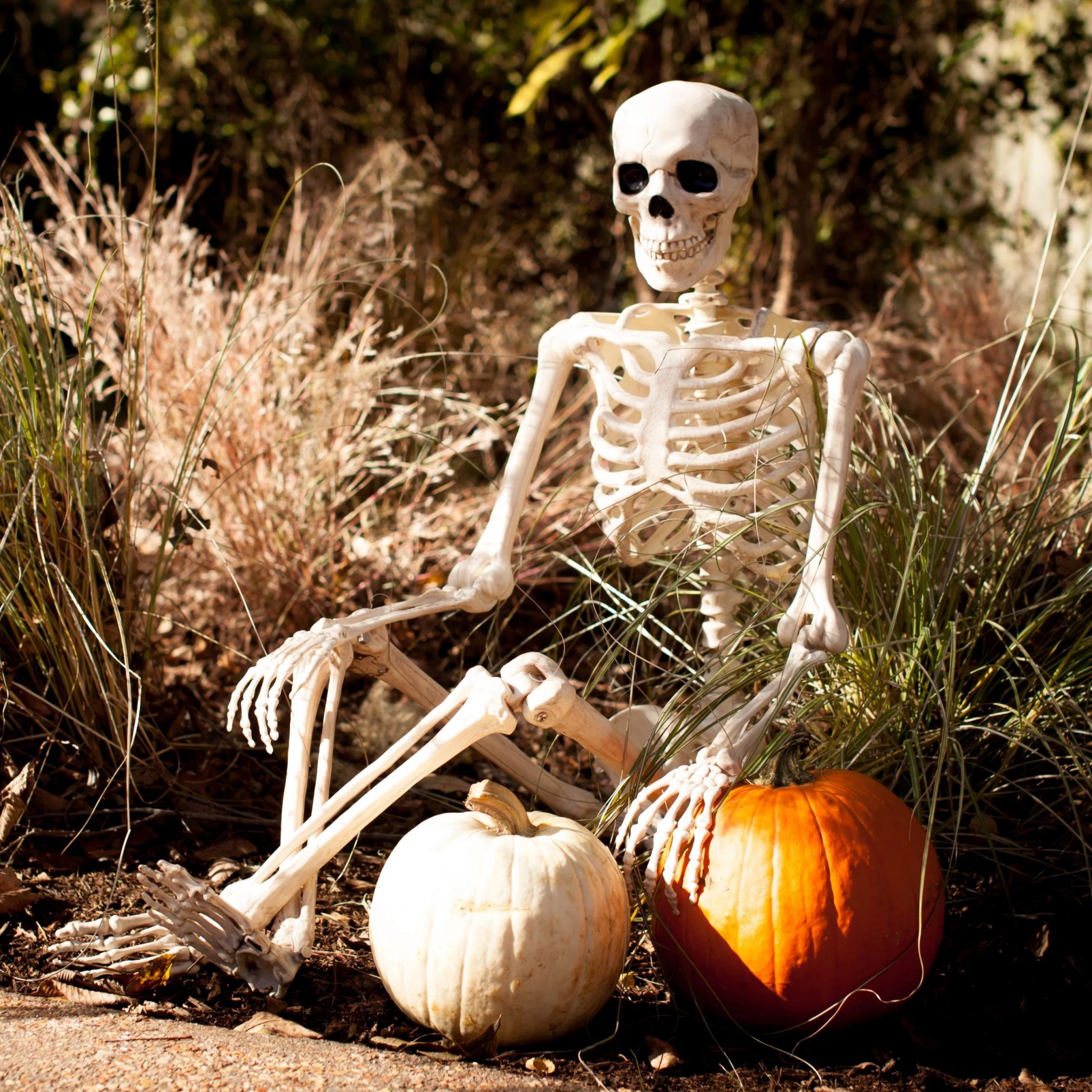 27 Spooky, Seasonal and Downright Scary Halloween Decorations