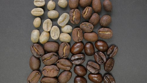 16 Types Of Coffee Roasts, Explained