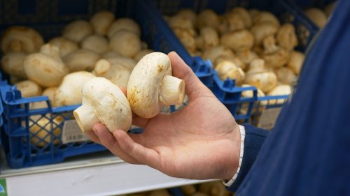 Most Of The World's Mushrooms Come From This Country