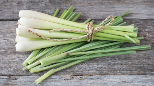 15 Tips You Need When Cooking With Lemongrass