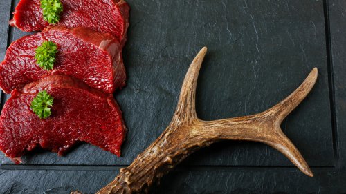 19-types-of-game-meat-explained-flipboard