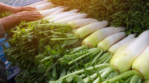 Why Daikon Is So Popular In Japanese Cuisine